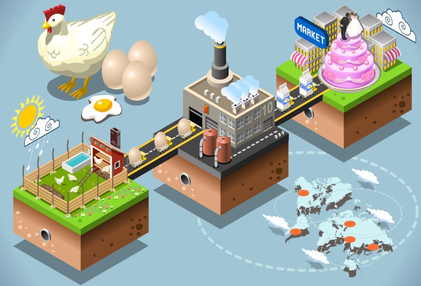 isometric infographic egg products distribution chain